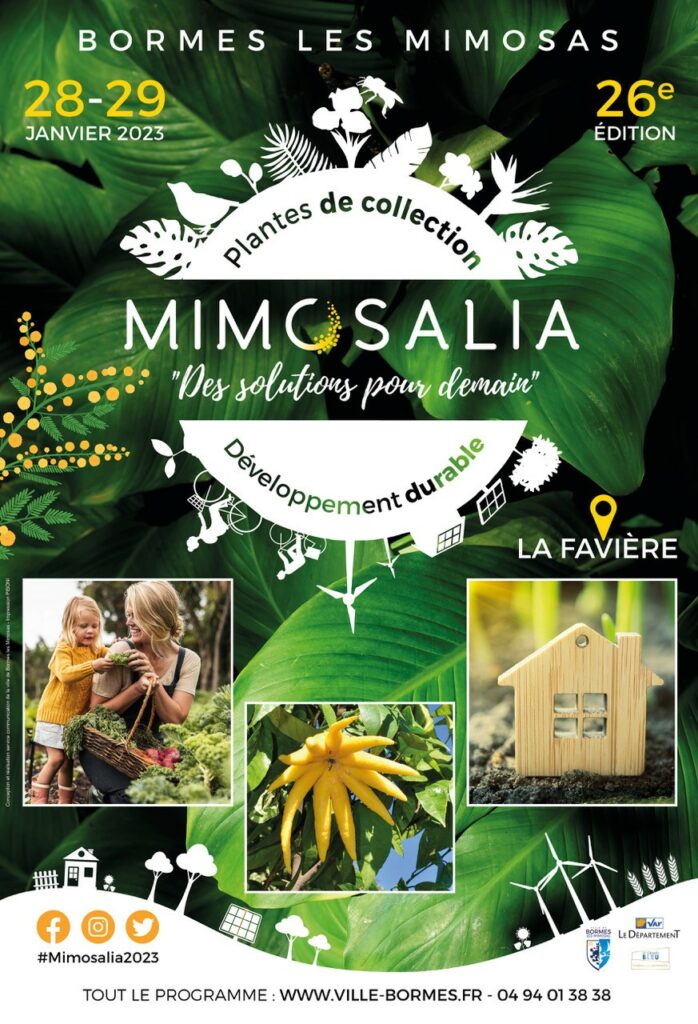 mimosalia janvier 2023